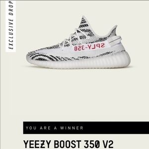 Yeezy 350 V2 Zebra